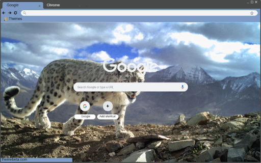 Snow Leopard  from Chrome web store to be run with OffiDocs Chromium online