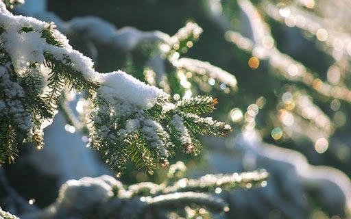SNOW Theme  from Chrome web store to be run with OffiDocs Chromium online