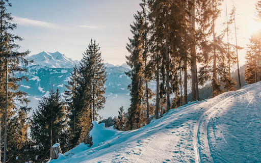 Snow white forest  from Chrome web store to be run with OffiDocs Chromium online