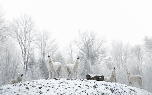 Snow Wolves  from Chrome web store to be run with OffiDocs Chromium online