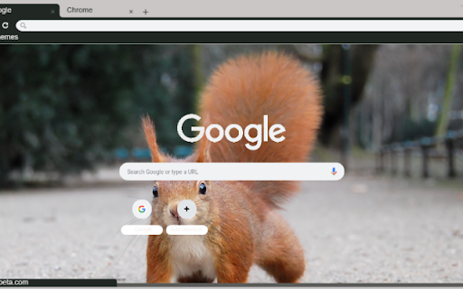 Soc  from Chrome web store to be run with OffiDocs Chromium online