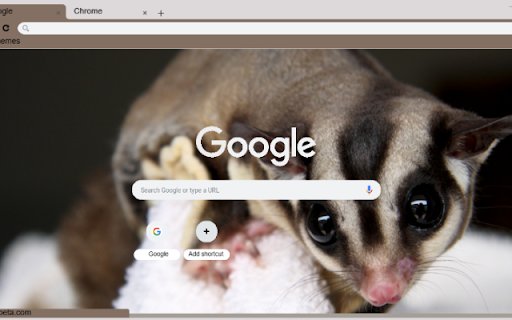 Soc Bay  from Chrome web store to be run with OffiDocs Chromium online