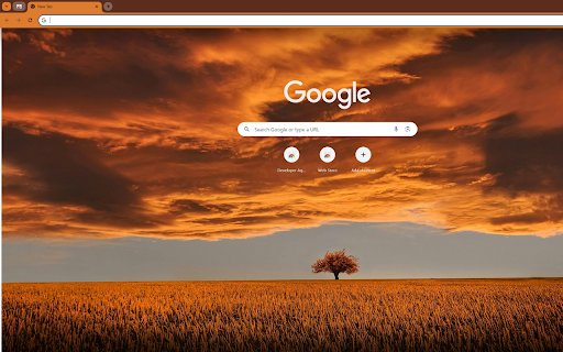 solitary tree in a field of reeds at sunset from Chrome web store to be run with OffiDocs Chromium online solitary tree in a field of reeds at sunset from Chrome web store to be run with OffiDocs Chromium online