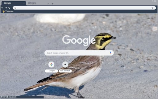 Son Ca from Chrome web store to be run with OffiDocs Chromium online Son Ca from Chrome web store to be run with OffiDocs Chromium online