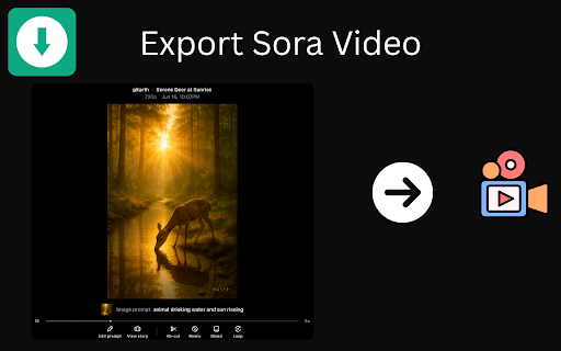 Sora Exporter Download OpenAI Sora Media and Metadata  from Chrome web store to be run with OffiDocs Chromium online