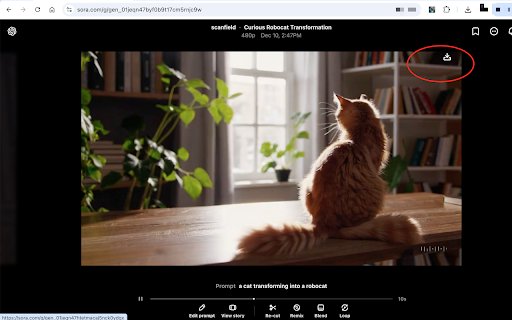 Sora Video Downloader  from Chrome web store to be run with OffiDocs Chromium online