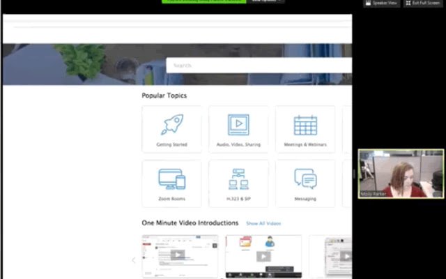SOS Support  from Chrome web store to be run with OffiDocs Chromium online
