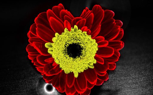 Special flower  from Chrome web store to be run with OffiDocs Chromium online