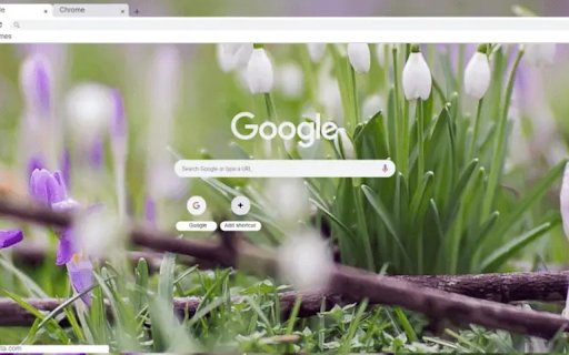 Spring flowers  from Chrome web store to be run with OffiDocs Chromium online