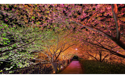 Spring theme  from Chrome web store to be run with OffiDocs Chromium online