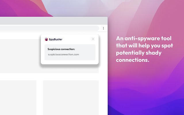 SpyBuster  from Chrome web store to be run with OffiDocs Chromium online