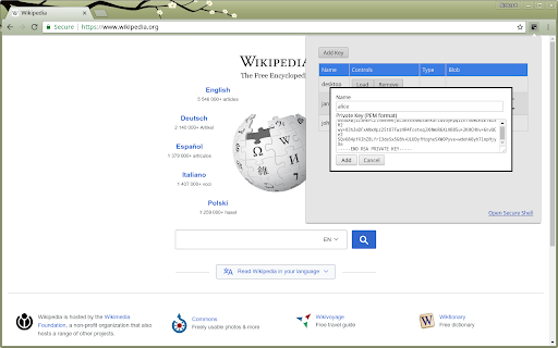 SSH Agent for Google Chrome™ (BETA)  from Chrome web store to be run with OffiDocs Chromium online