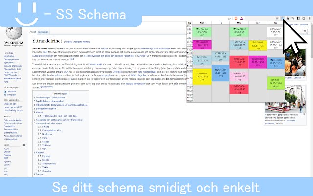SS Schema  from Chrome web store to be run with OffiDocs Chromium online