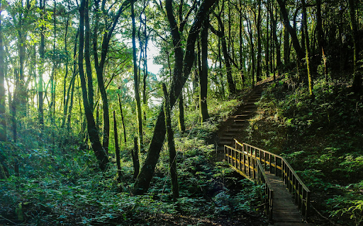 Stairs Up The Mountain  from Chrome web store to be run with OffiDocs Chromium online