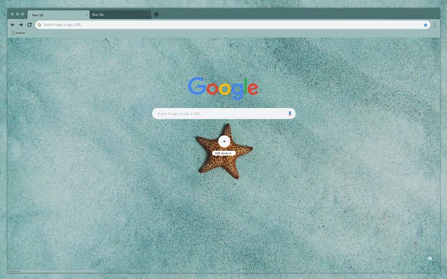 Starfish di atas pasir dari kedai web Chrome untuk dijalankan dengan OffiDocs Chromium dalam talian