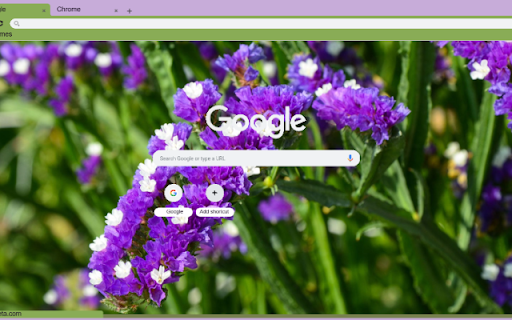 Statice  from Chrome web store to be run with OffiDocs Chromium online