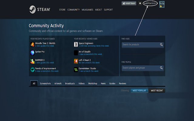 Steam Account Name Hider  from Chrome web store to be run with OffiDocs Chromium online