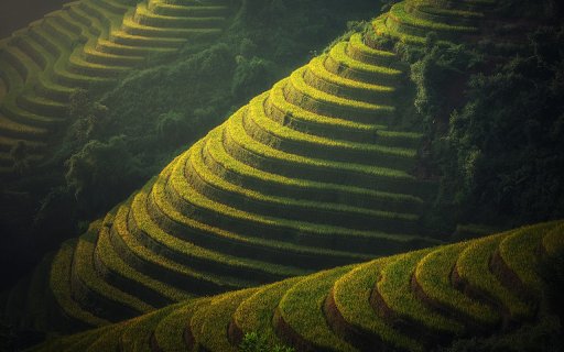 Steep terraced fields  from Chrome web store to be run with OffiDocs Chromium online
