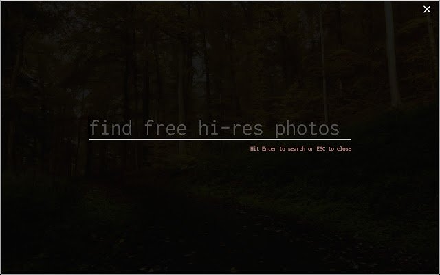 Stellar Photos  from Chrome web store to be run with OffiDocs Chromium online