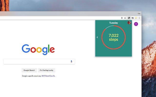 Step Tracker  from Chrome web store to be run with OffiDocs Chromium online