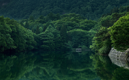 Still Waters in a Hidden Green Valley  from Chrome web store to be run with OffiDocs Chromium online