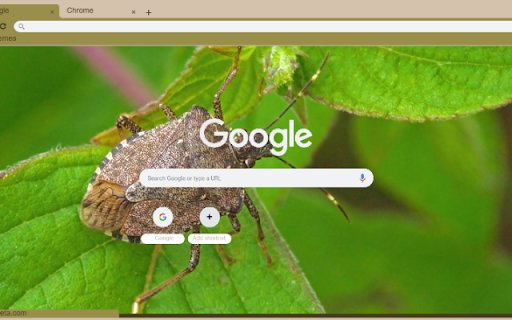Stink Bug from Chrome web store to be run with OffiDocs Chromium online Stink Bug from Chrome web store to be run with OffiDocs Chromium online