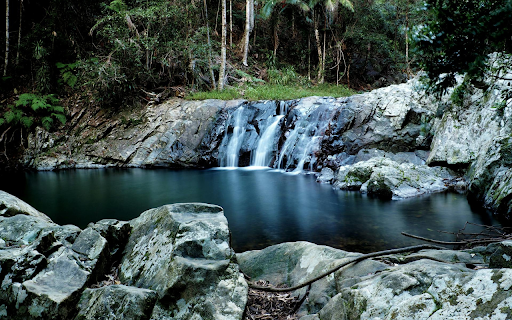 Stream in the forest  from Chrome web store to be run with OffiDocs Chromium online