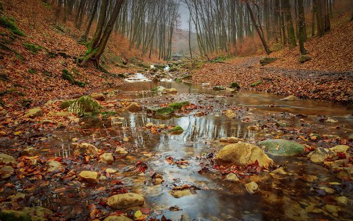 streams of water and falling leaves  from Chrome web store to be run with OffiDocs Chromium online