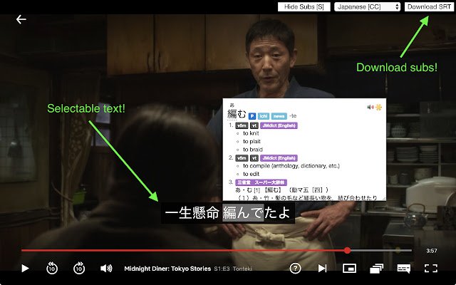 Chrome 网上商店的 Subadub 将与 OffiDocs Chromium 在线运行