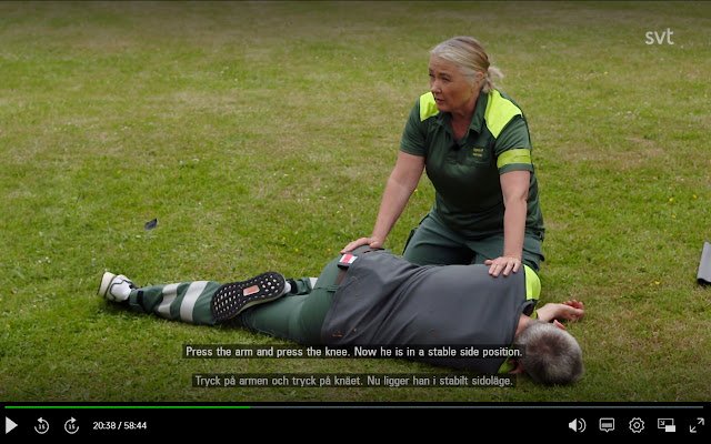 Subtitle Translator  from Chrome web store to be run with OffiDocs Chromium online