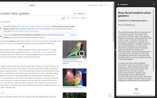 SumarAI  from Chrome web store to be run with OffiDocs Chromium online