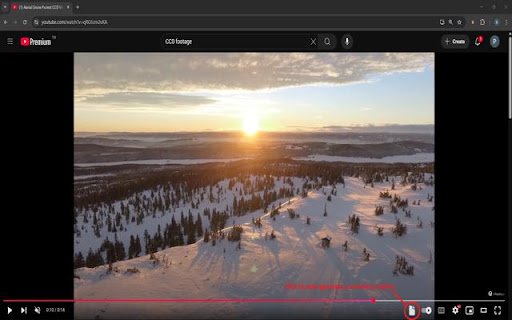 SummarizeTube  from Chrome web store to be run with OffiDocs Chromium online