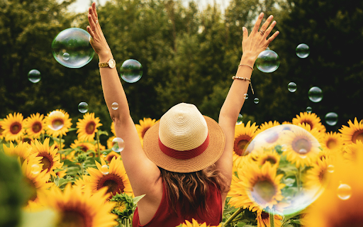 Sunflower Joy  from Chrome web store to be run with OffiDocs Chromium online