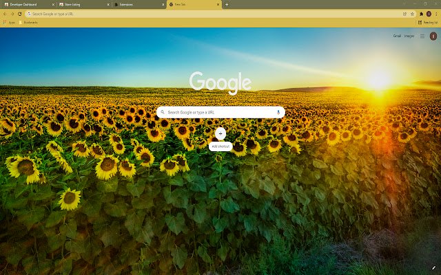 Motyw tapety Sunflower Sunrise ze sklepu internetowego Chrome, który można uruchomić za pomocą OffiDocs Chromium online