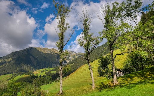 Sunlight on the lotus hill  from Chrome web store to be run with OffiDocs Chromium online Sunlight on the lotus hill  from Chrome web store to be run with OffiDocs Chromium online