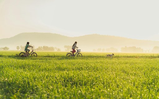 Sunlit Countryside Escape  from Chrome web store to be run with OffiDocs Chromium online