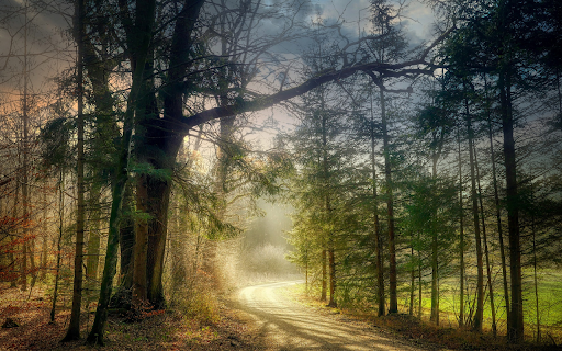 Sunny dirt road  from Chrome web store to be run with OffiDocs Chromium online