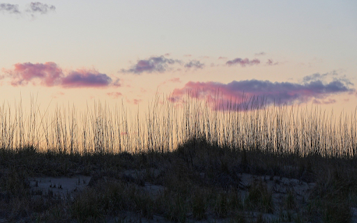 Sunset and Sand  from Chrome web store to be run with OffiDocs Chromium online