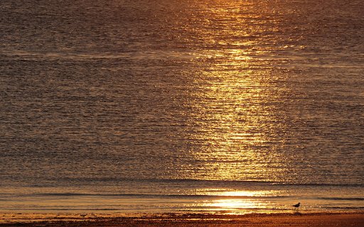 Sunset and Sea  from Chrome web store to be run with OffiDocs Chromium online