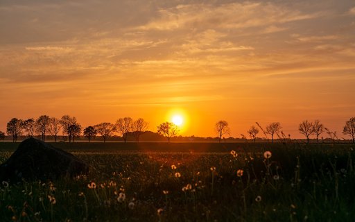 Sunset behind the trees  from Chrome web store to be run with OffiDocs Chromium online