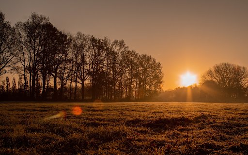 Sunshine on the field from Chrome web store to be run with OffiDocs Chromium online Sunshine on the field from Chrome web store to be run with OffiDocs Chromium online