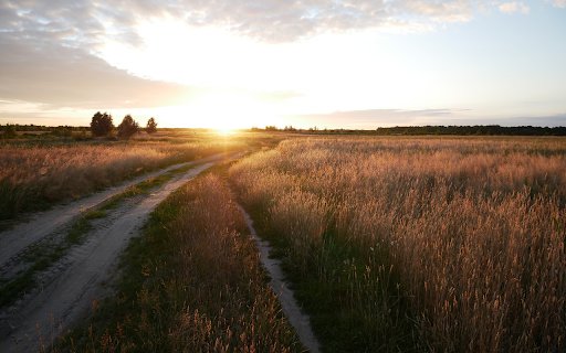 Sunshine on the small road  from Chrome web store to be run with OffiDocs Chromium online