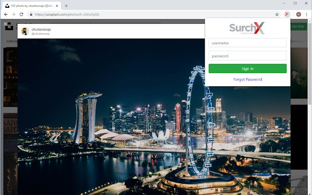 SurchX for Chrome  from Chrome web store to be run with OffiDocs Chromium online
