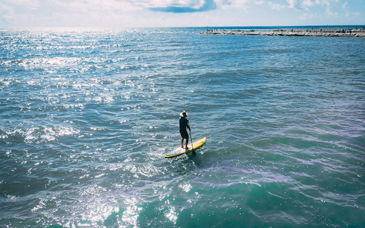 Surfing on the Sea  from Chrome web store to be run with OffiDocs Chromium online