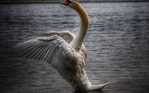 Swan Flapping Wings  from Chrome web store to be run with OffiDocs Chromium online