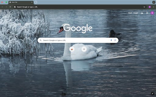 Swans and lakes  from Chrome web store to be run with OffiDocs Chromium online