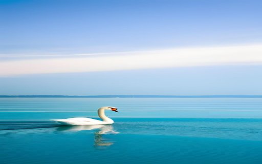 Swans swimming on the lake Wallpaper  from Chrome web store to be run with OffiDocs Chromium online