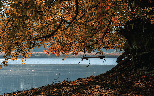 Swing Lake  from Chrome web store to be run with OffiDocs Chromium online