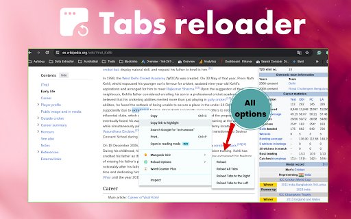 Tabs reloader from Chrome web store to be run with OffiDocs Chromium online Tabs reloader from Chrome web store to be run with OffiDocs Chromium online