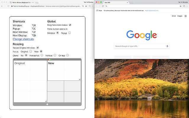 Tab to Window/Popup Keyboard Shortcut  from Chrome web store to be run with OffiDocs Chromium online